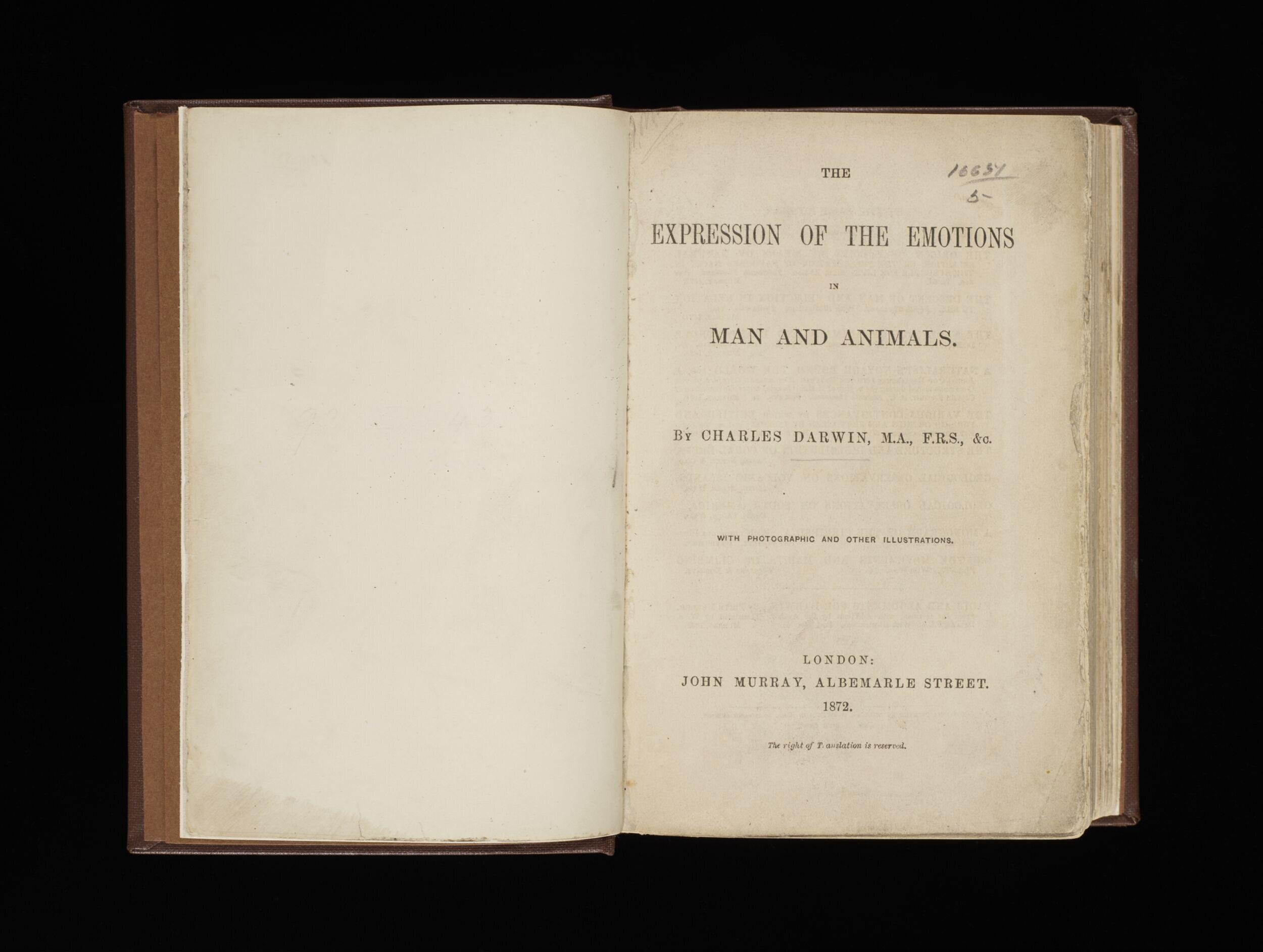 The expression of the emotions in man and animals
