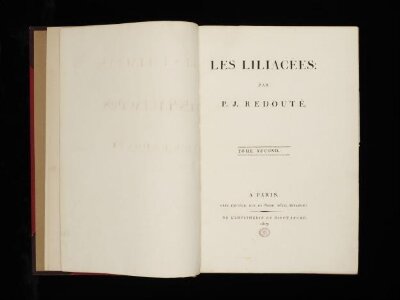 Les liliacées