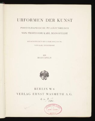 Urformen der Kunst: photographische Pflanzenbilder
