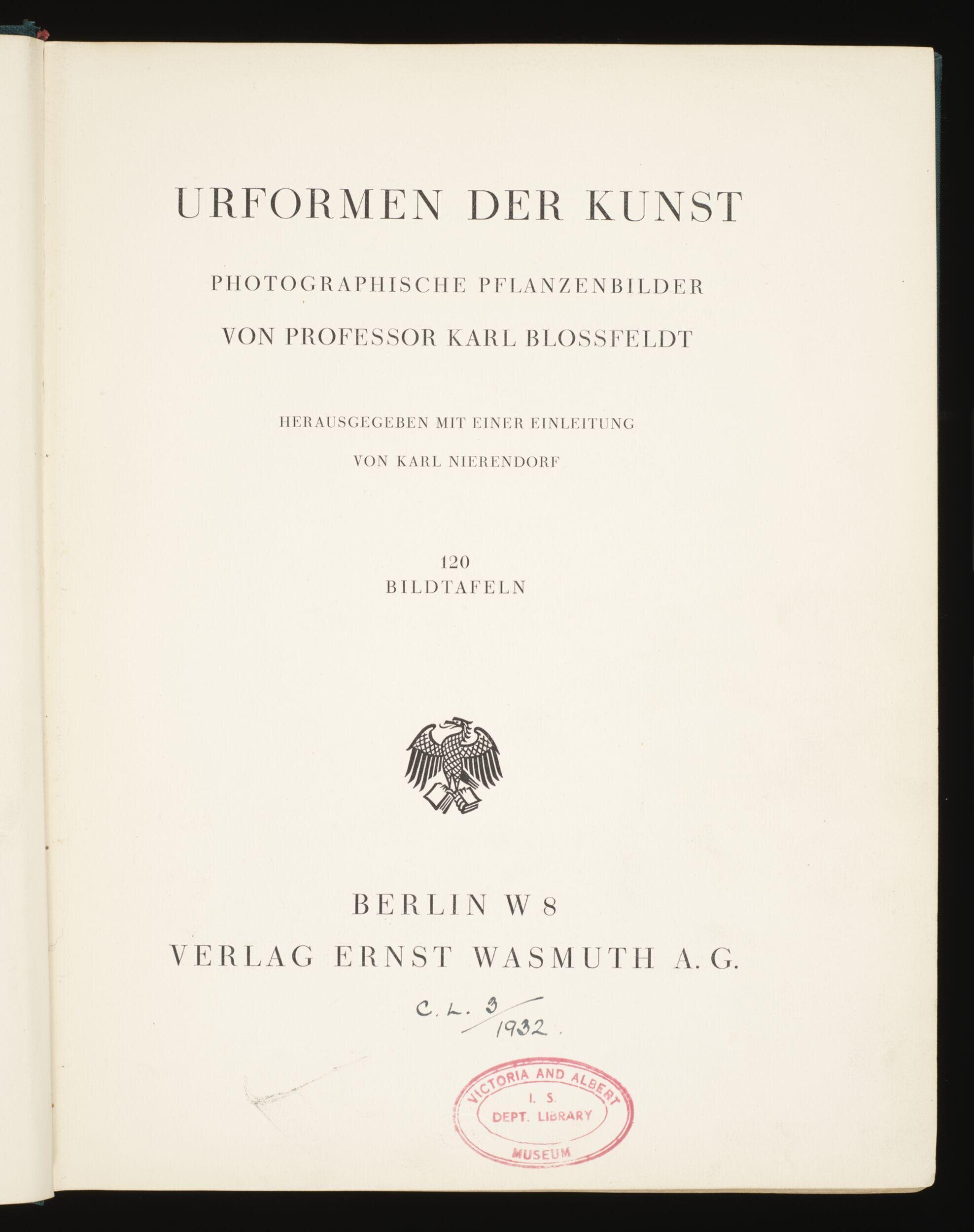 Urformen der Kunst: photographische Pflanzenbilder