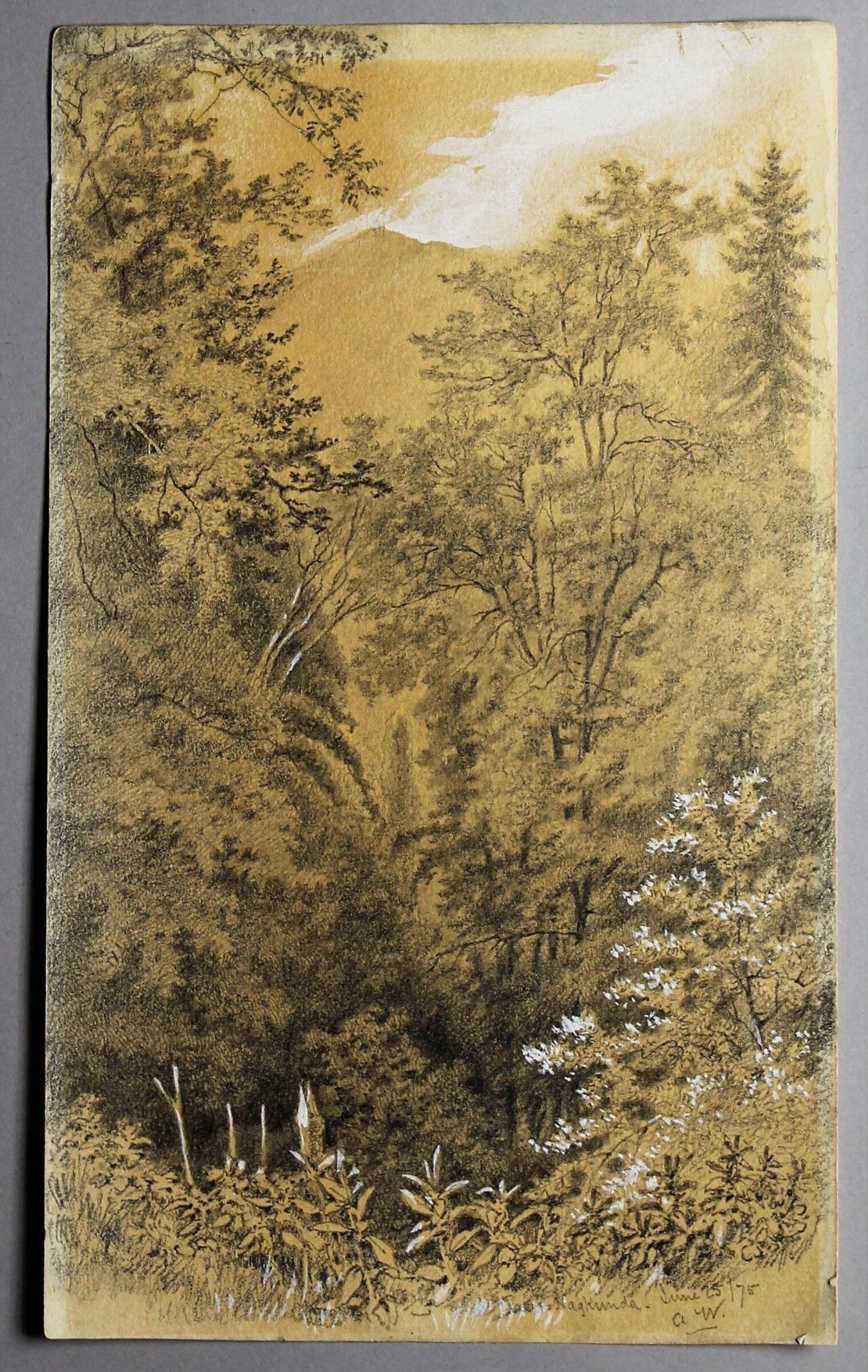 Drawing, Frederick William Alexander De Fabeck, 1875