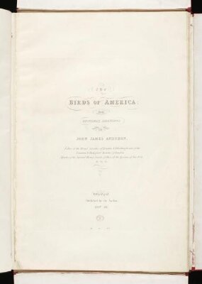 The birds of America