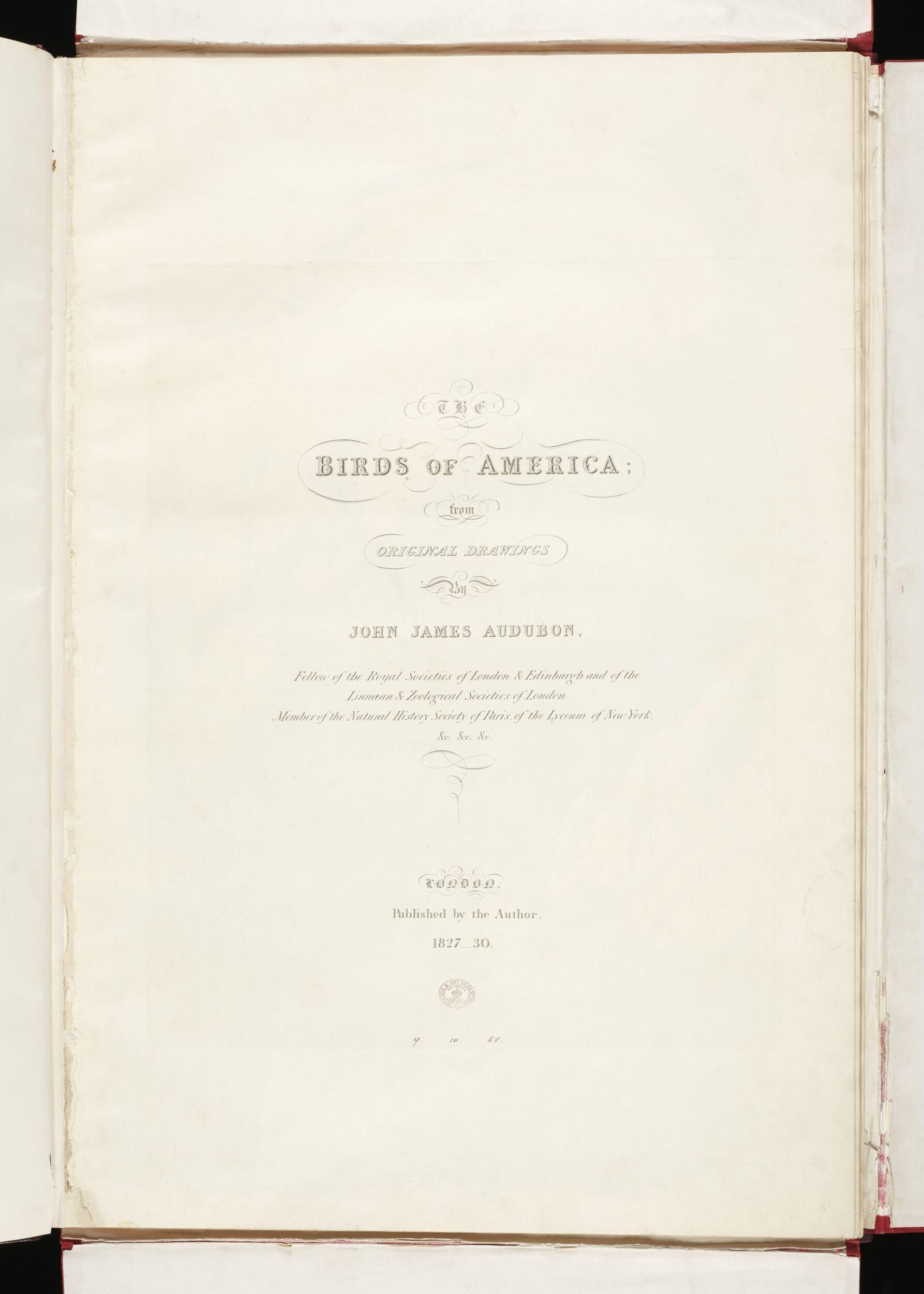 The birds of America