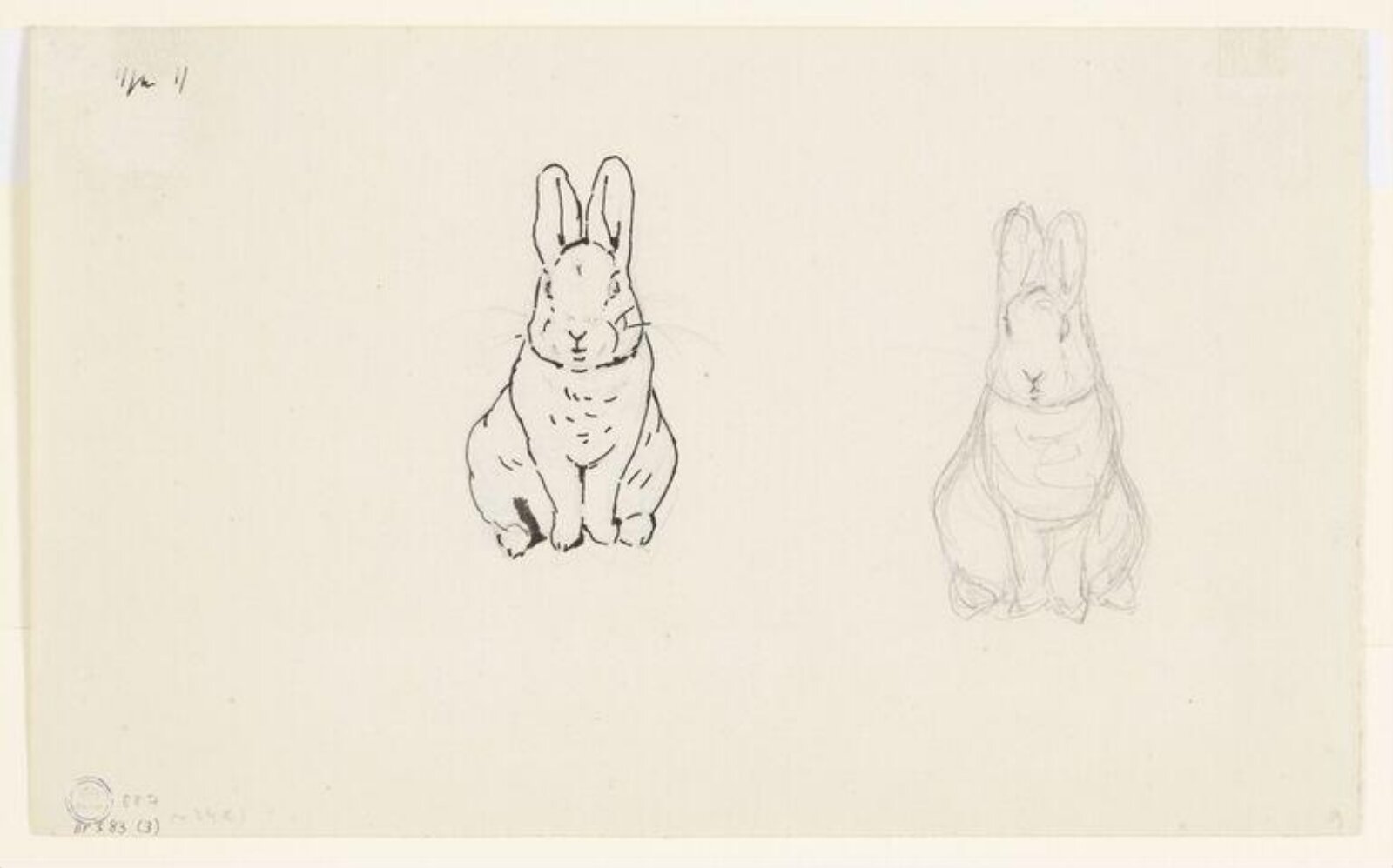 drawing, Beatrix Potter, 1900-1