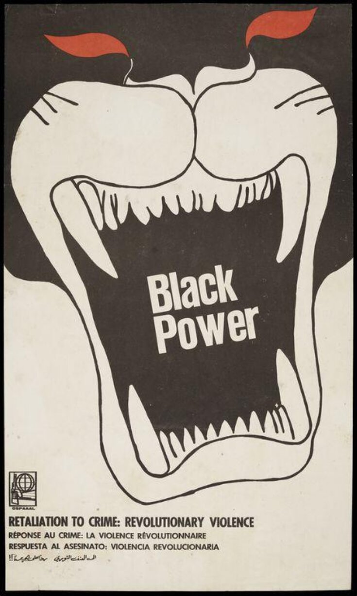 Black Power poster image