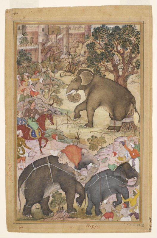 Akbar 