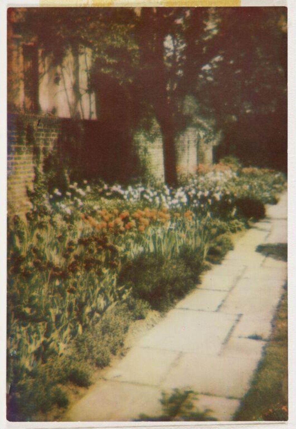 Warburg, Agnes Beatrice, Colorsnap