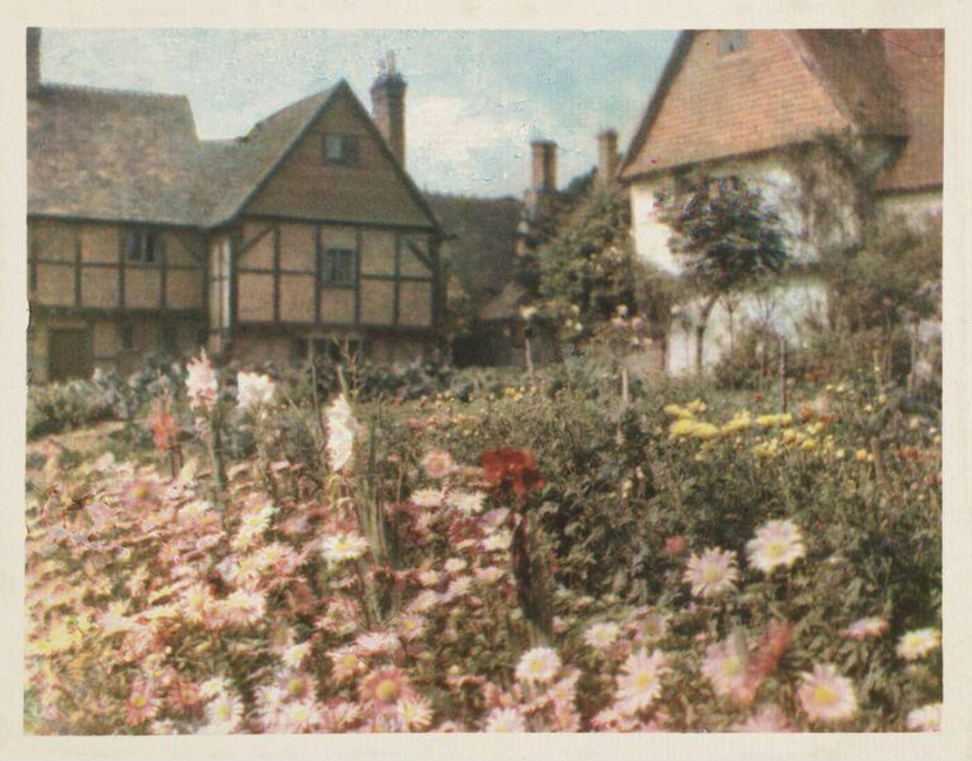 Warburg, Agnes Beatrice, Berkshire Cottages