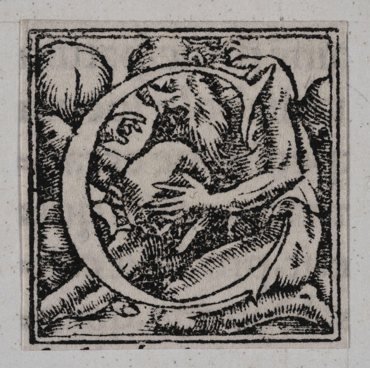 Unknown, Print