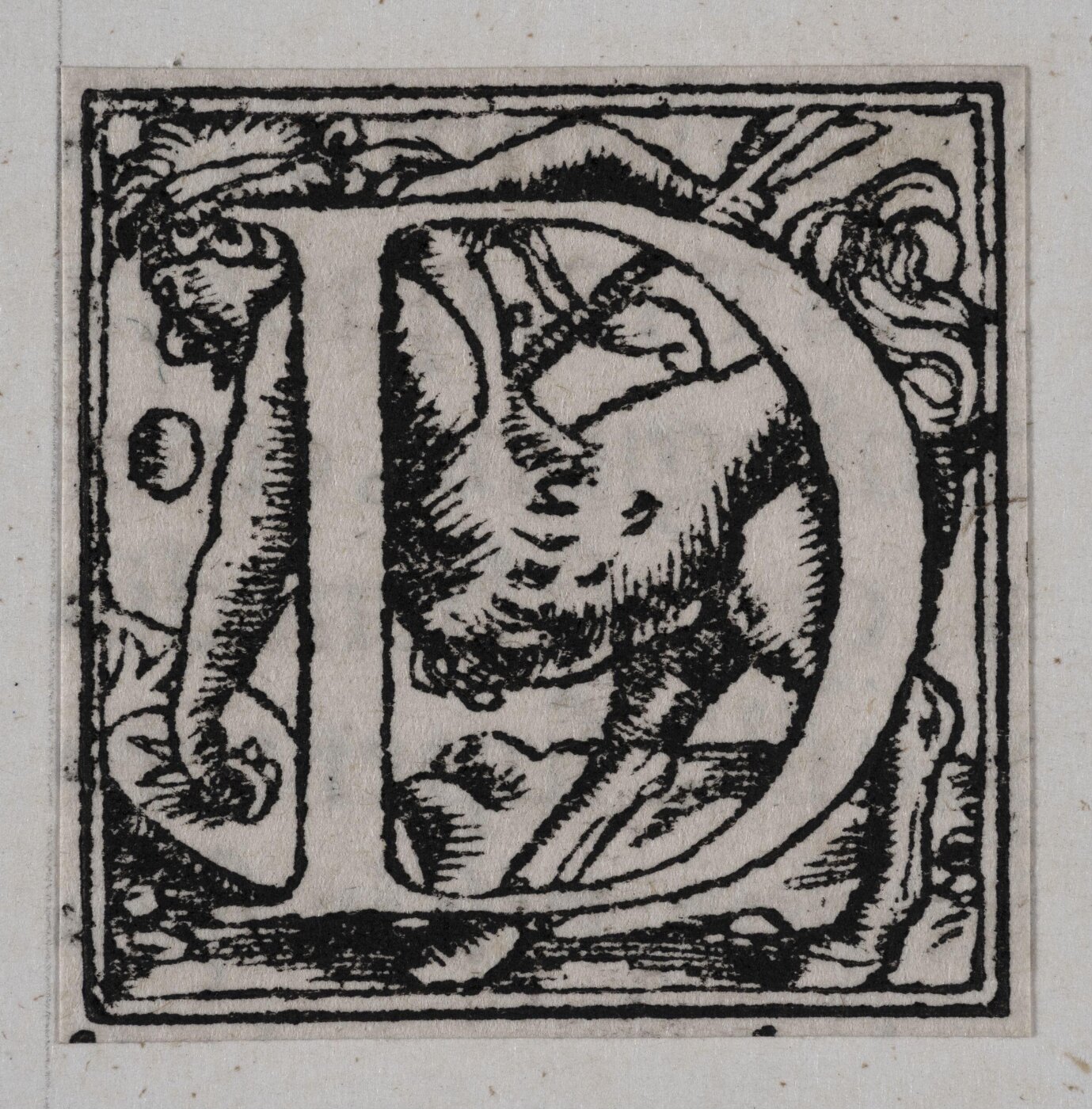Unknown, Print