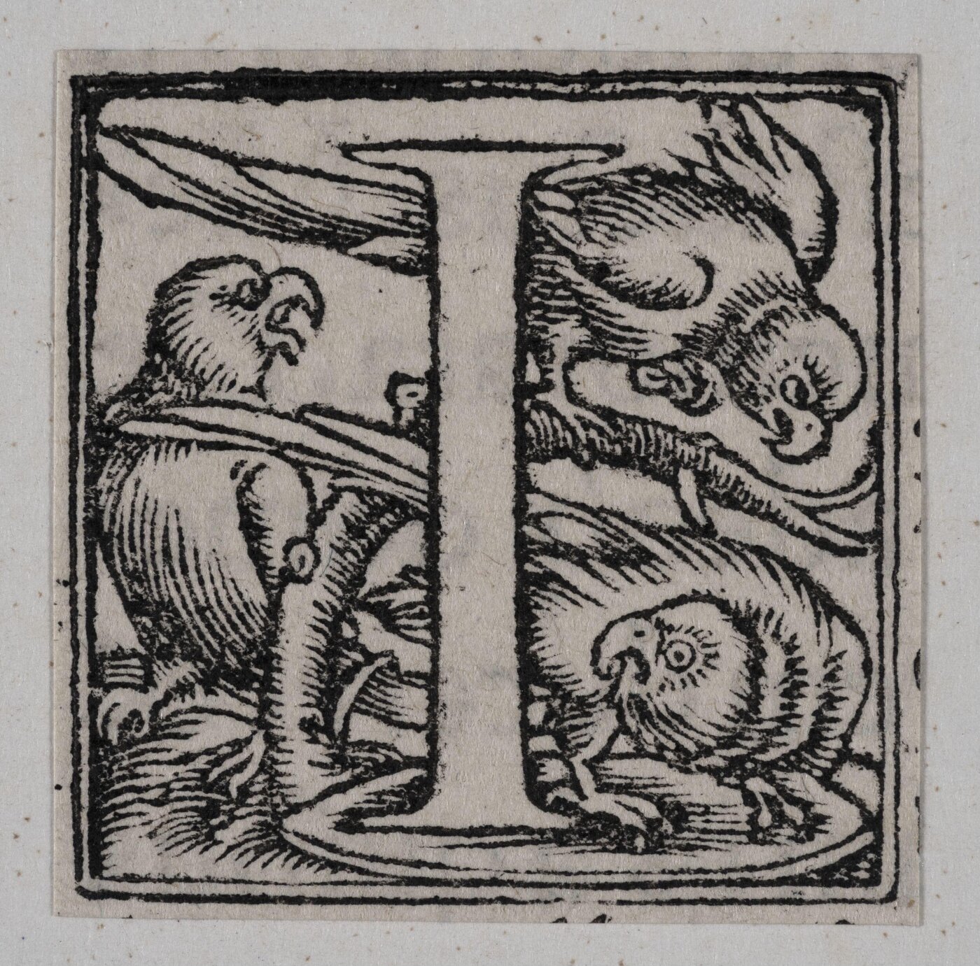 Unknown, Print