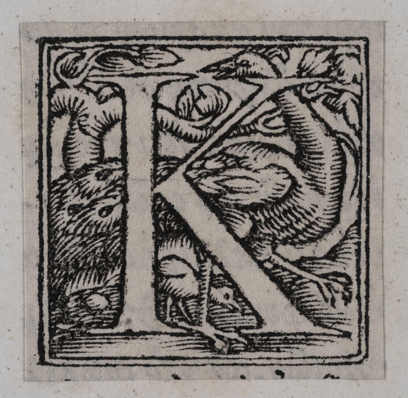Unknown, Print