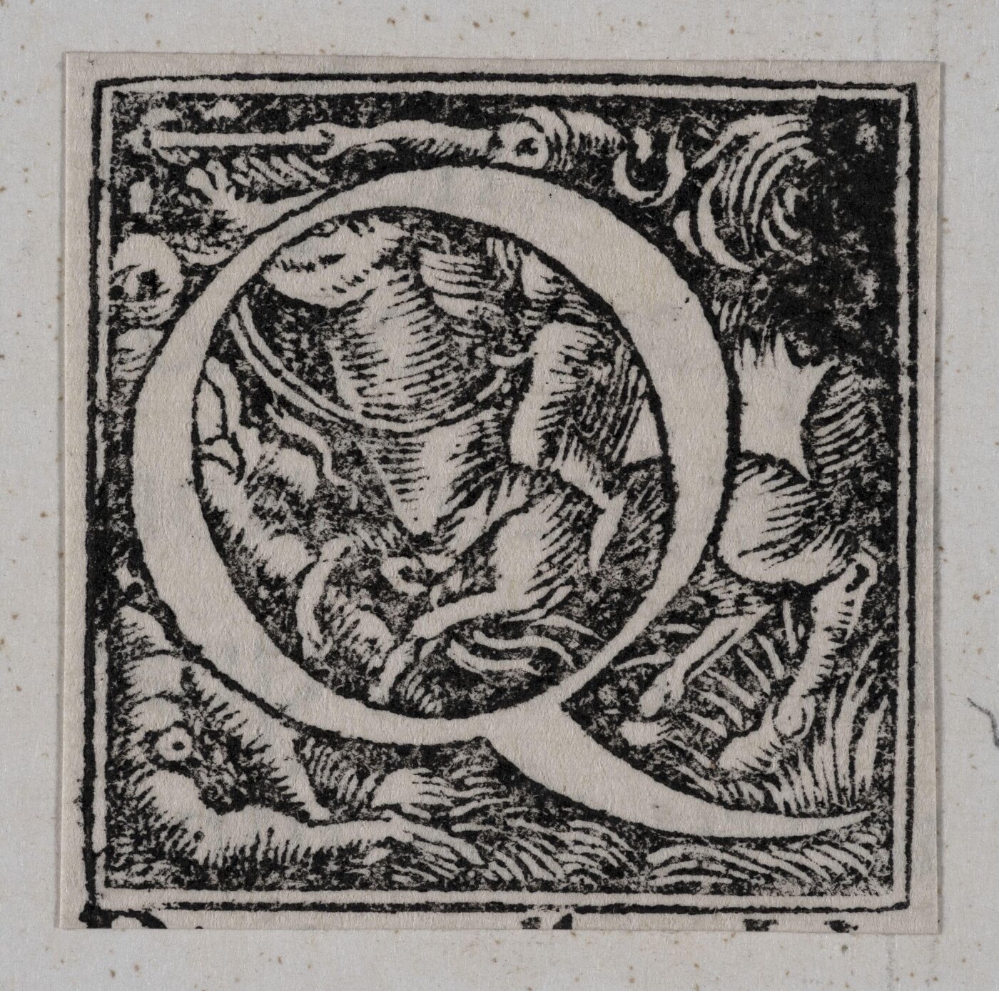 Unknown, Print