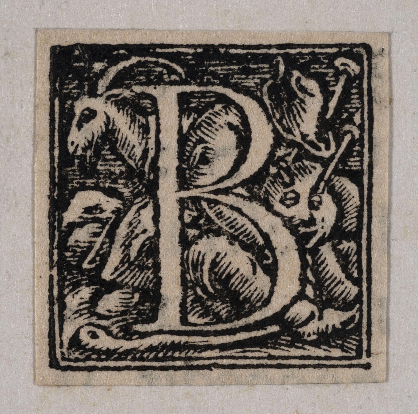 Unknown, Print