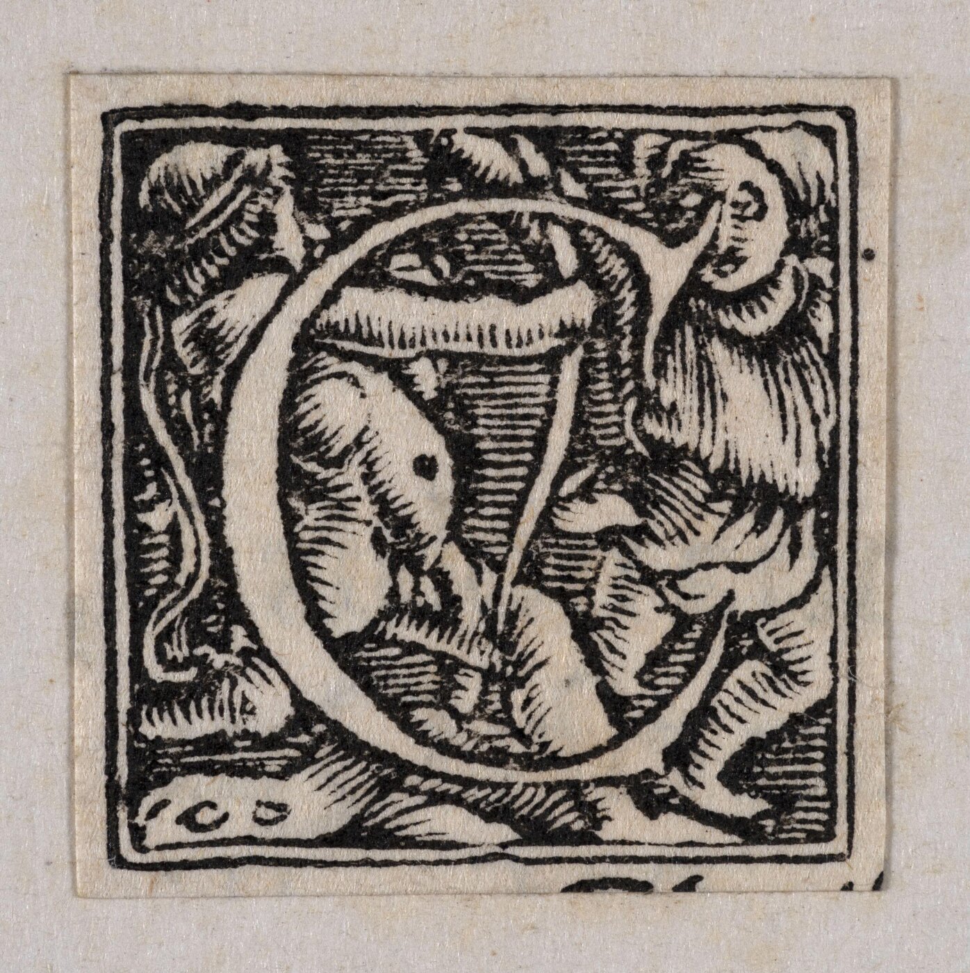 Unknown, Print