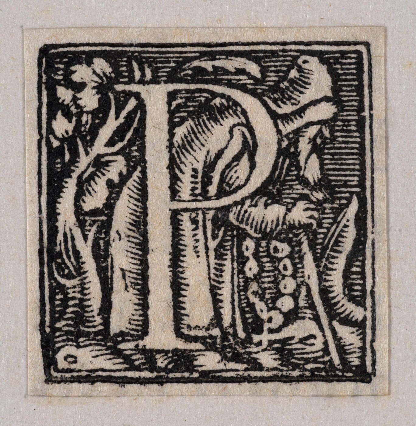 Unknown, Print