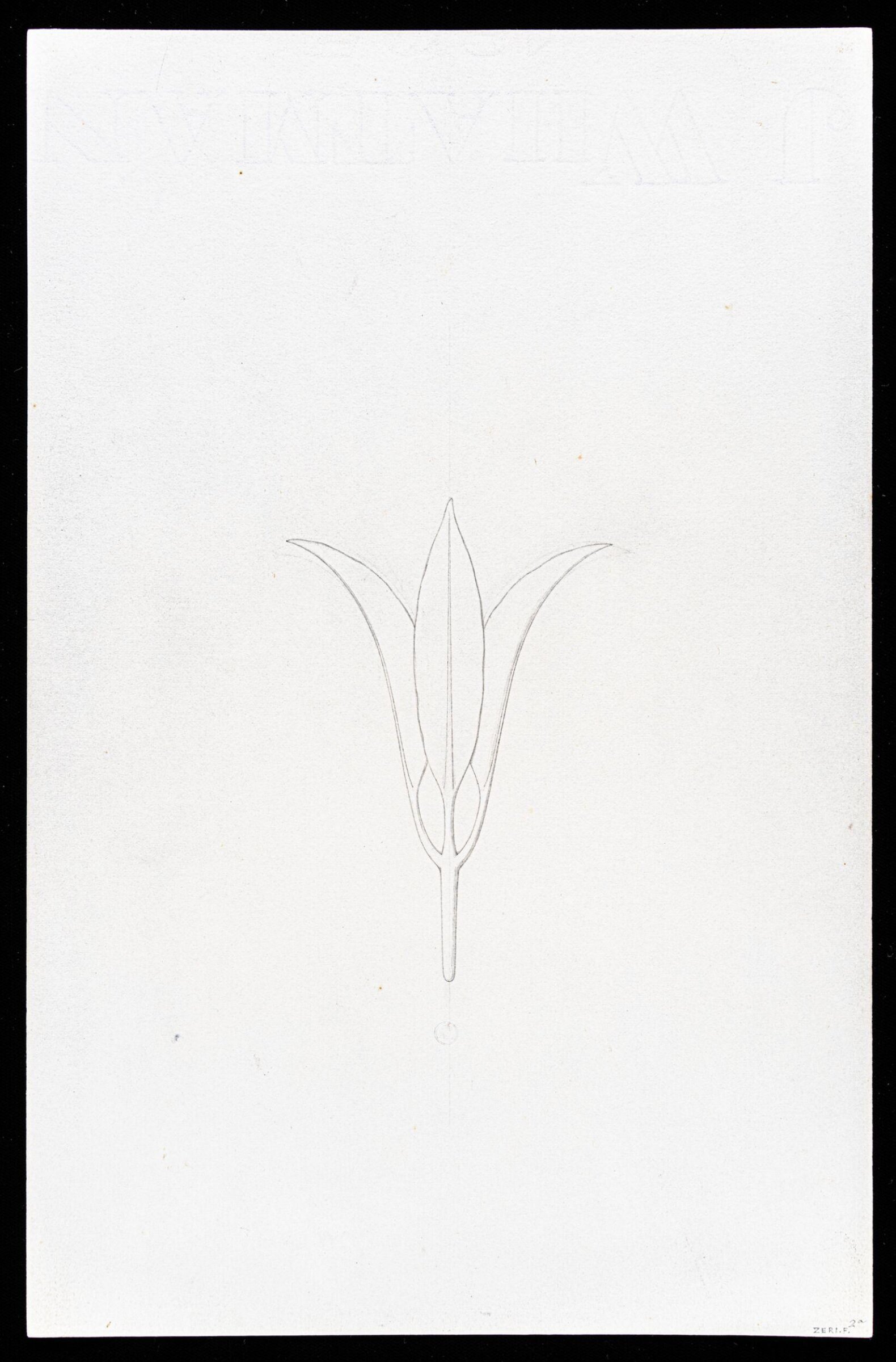 First Elements of Ornament, Salvatore Leri, mid 19th century