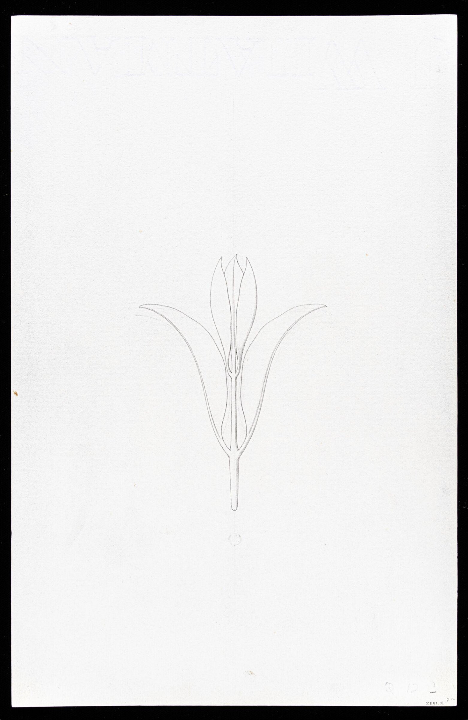 First Elements of Ornament, Salvatore Leri, mid 19th century
