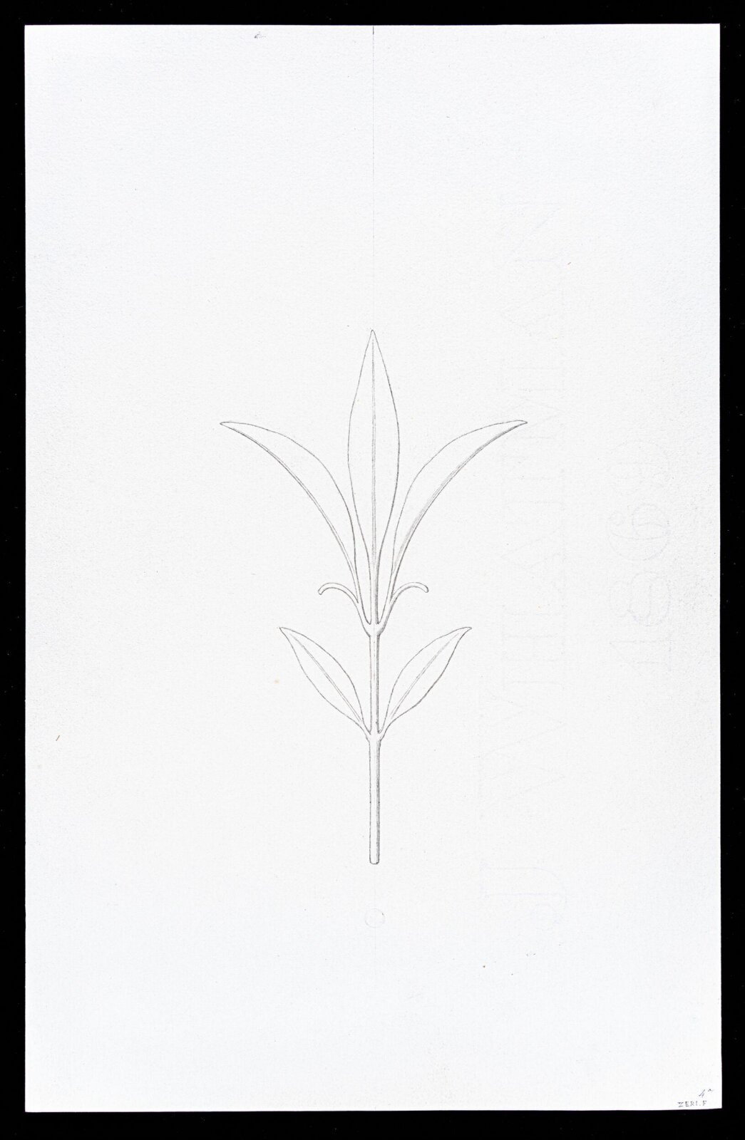 First Elements of Ornament, Salvatore Leri, mid 19th century