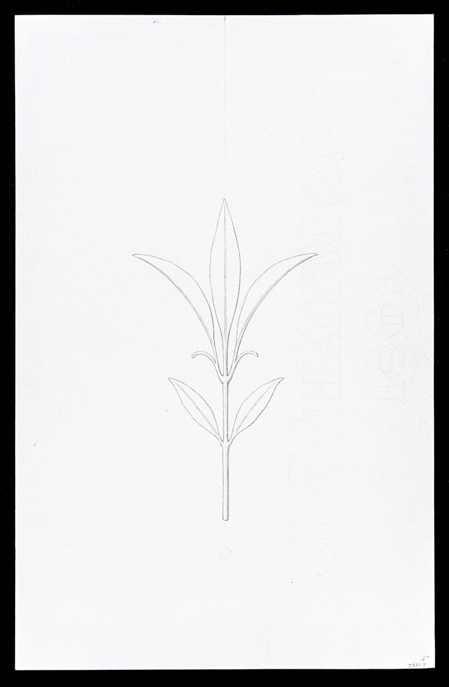 First Elements of Ornament, Salvatore Leri, mid 19th century