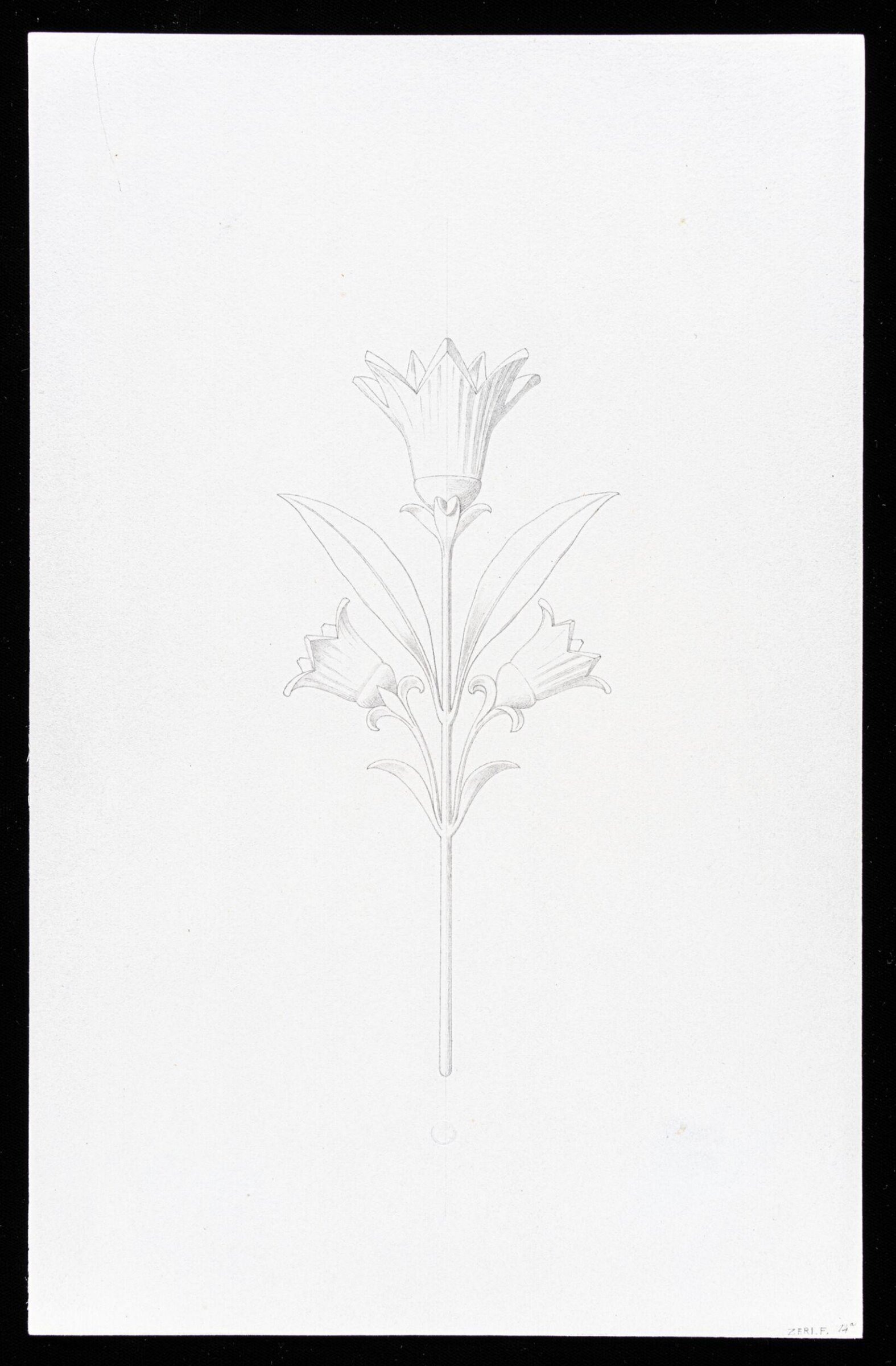 First Elements of Ornament, Salvatore Leri, mid 19th century
