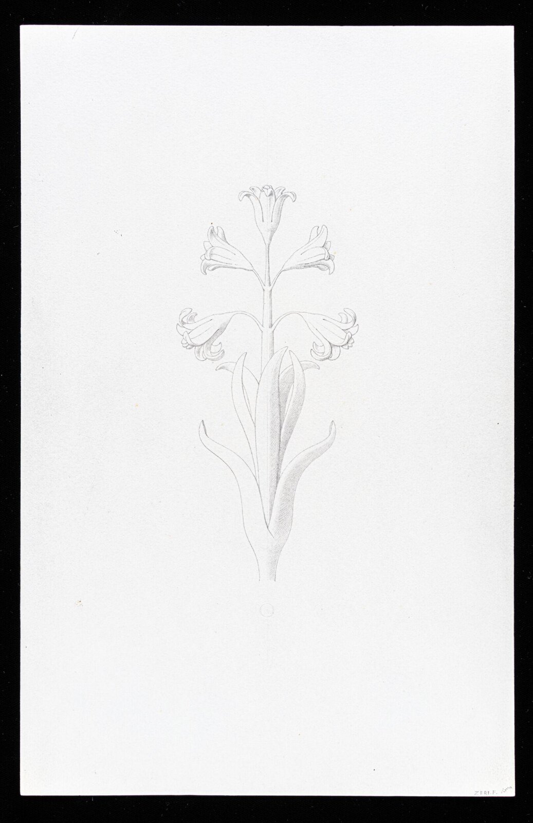 First Elements of Ornament, Salvatore Leri, mid 19th century