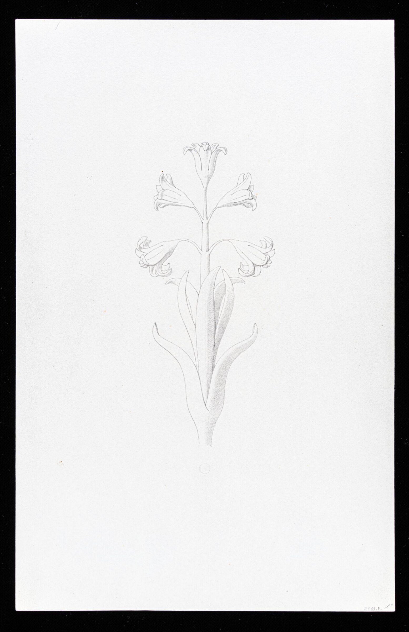 First Elements of Ornament, Salvatore Leri, mid 19th century