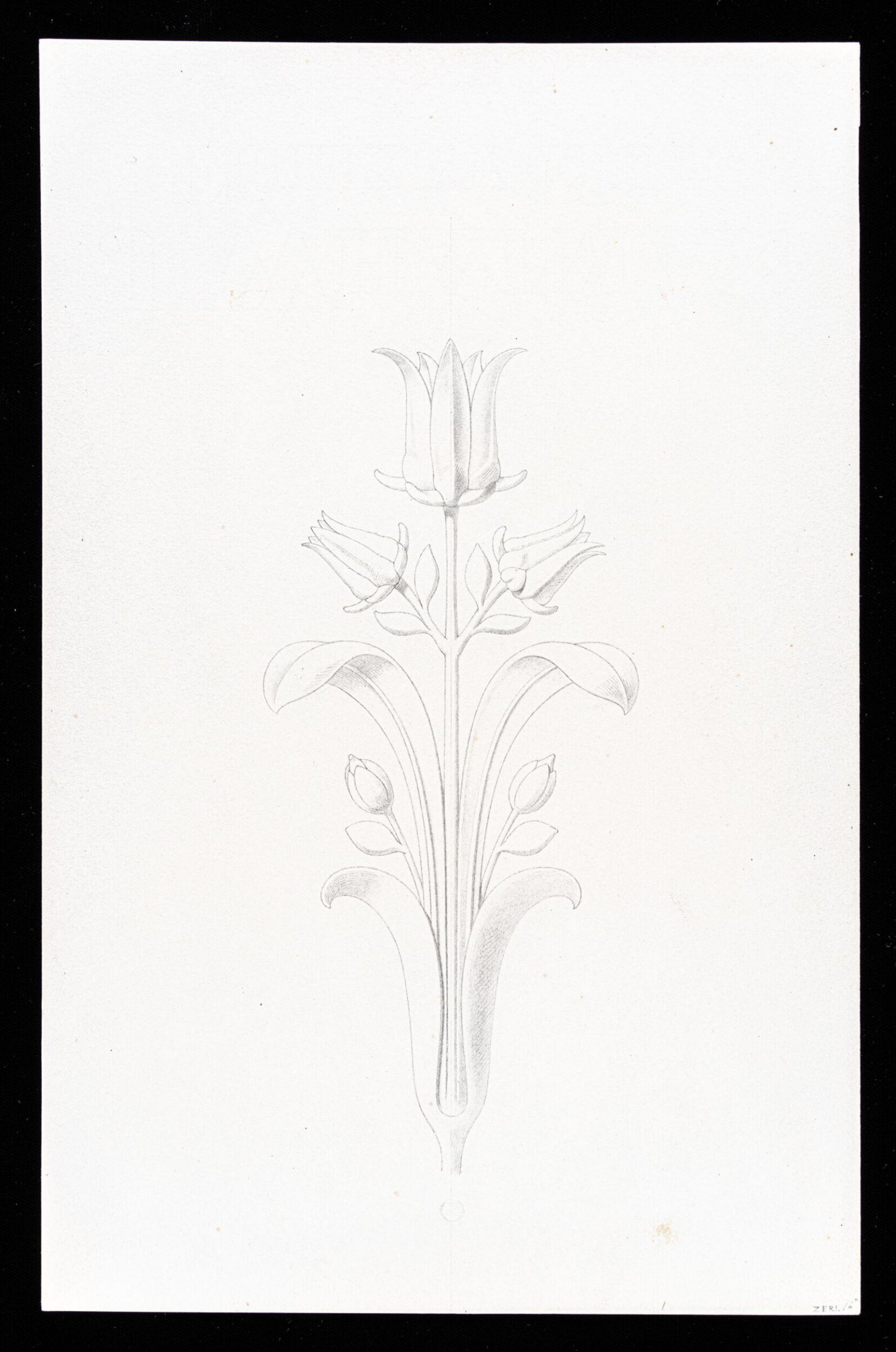 First Elements of Ornament, Salvatore Leri, mid 19th century