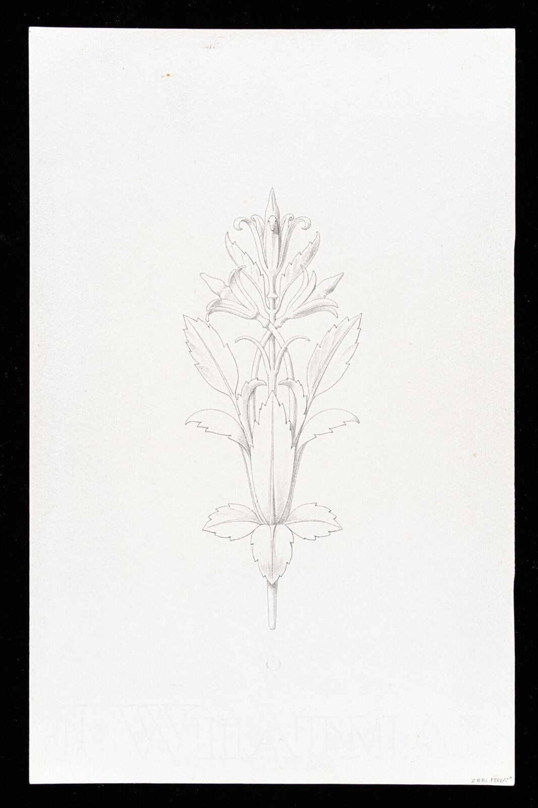 First Elements of Ornament, Salvatore Leri, mid 19th century