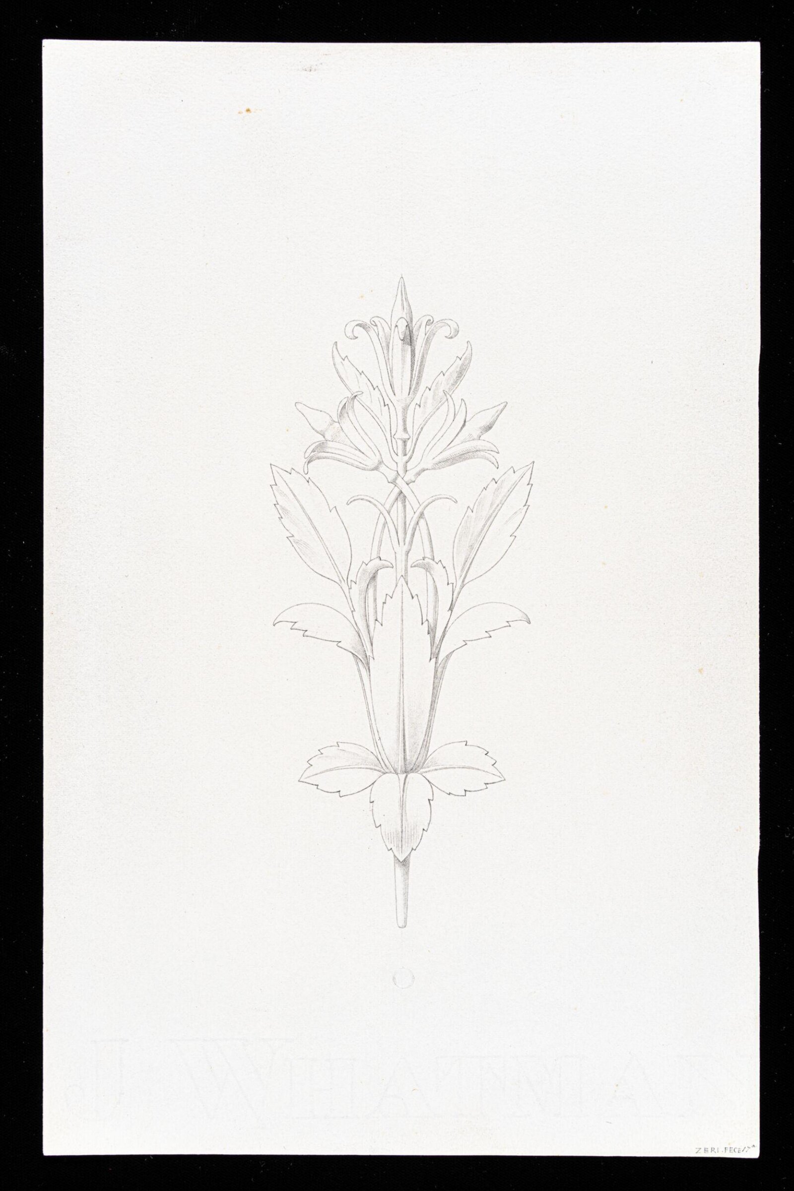 First Elements of Ornament, Salvatore Leri, mid 19th century