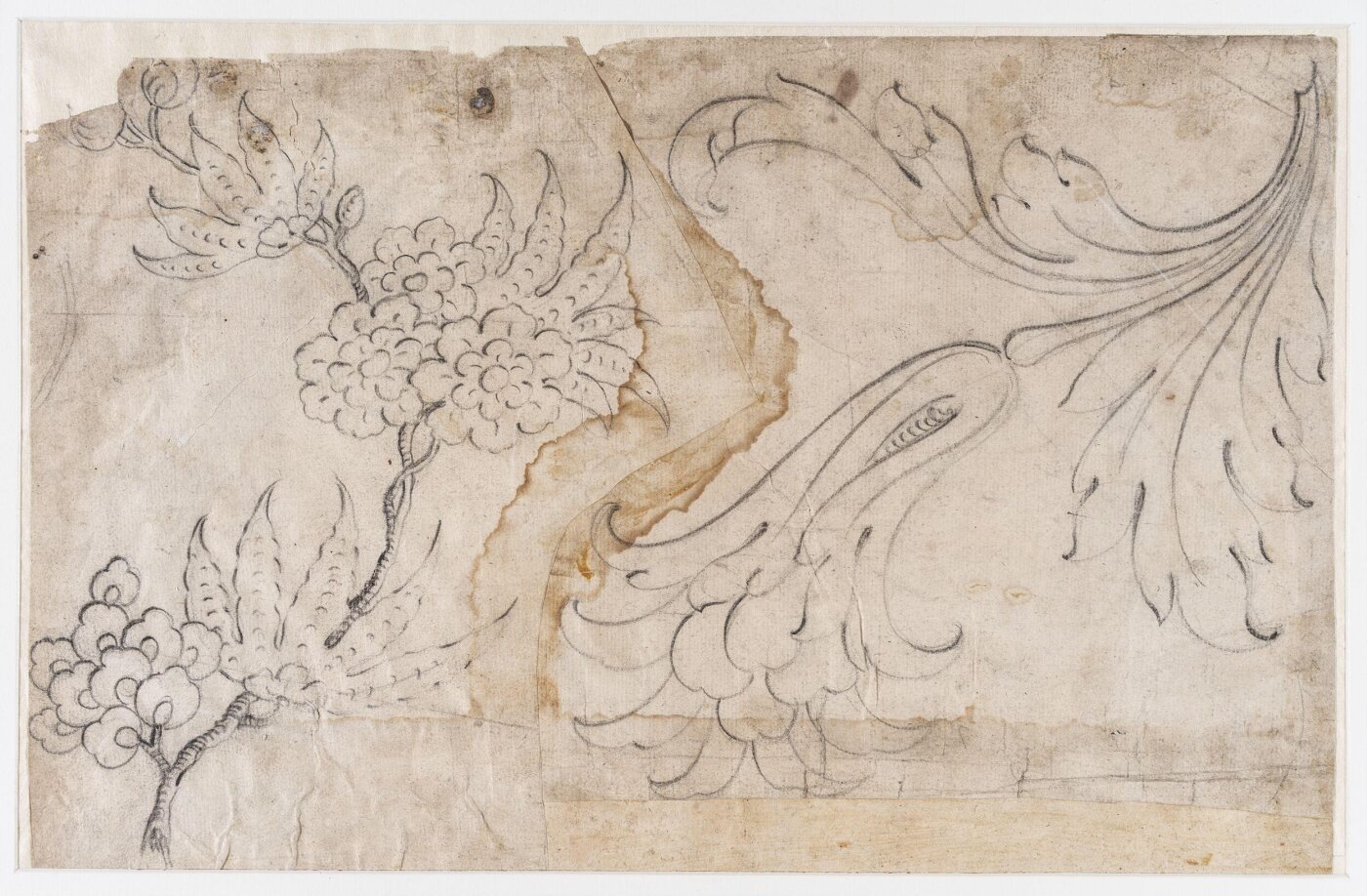 unknown, Drawing