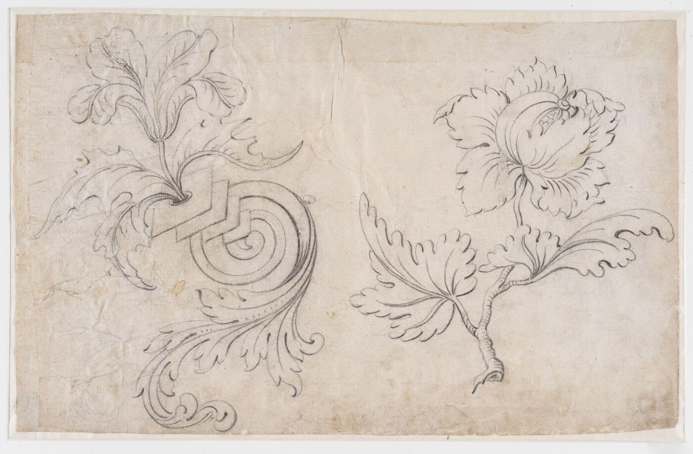 unknown, Drawing