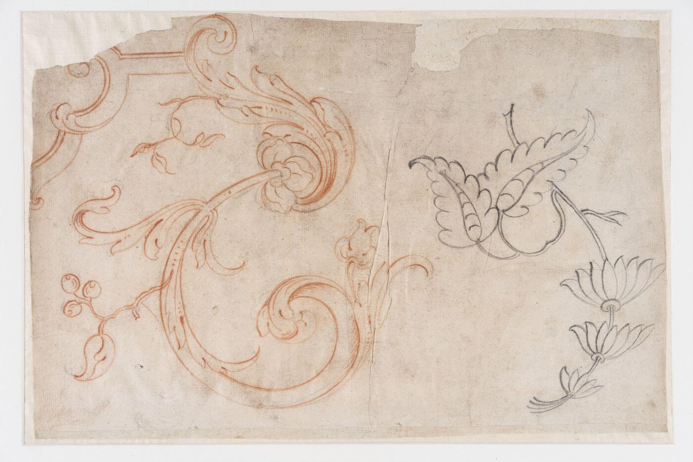 unknown, Drawing