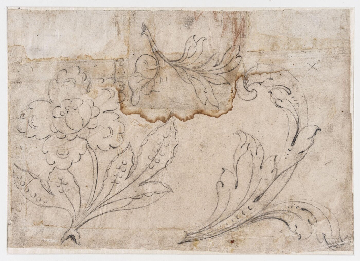 unknown, Drawing