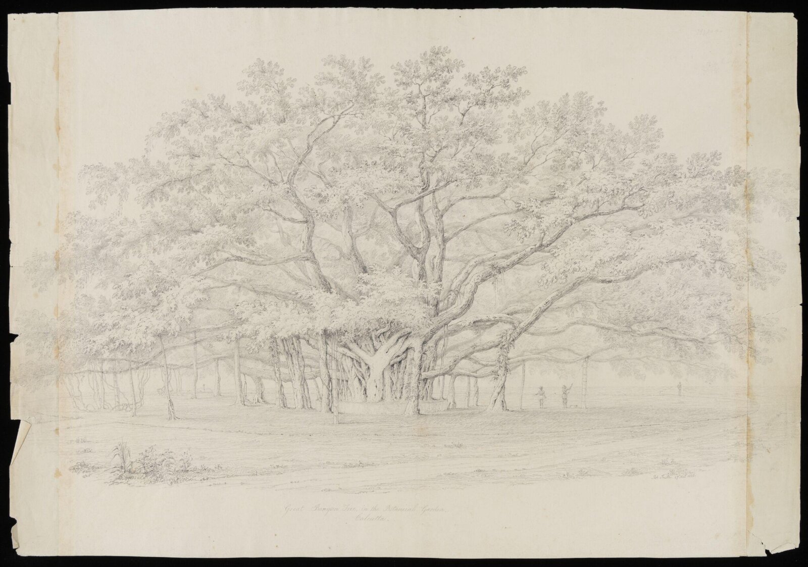 Drawing, Robert Smith, 19th century