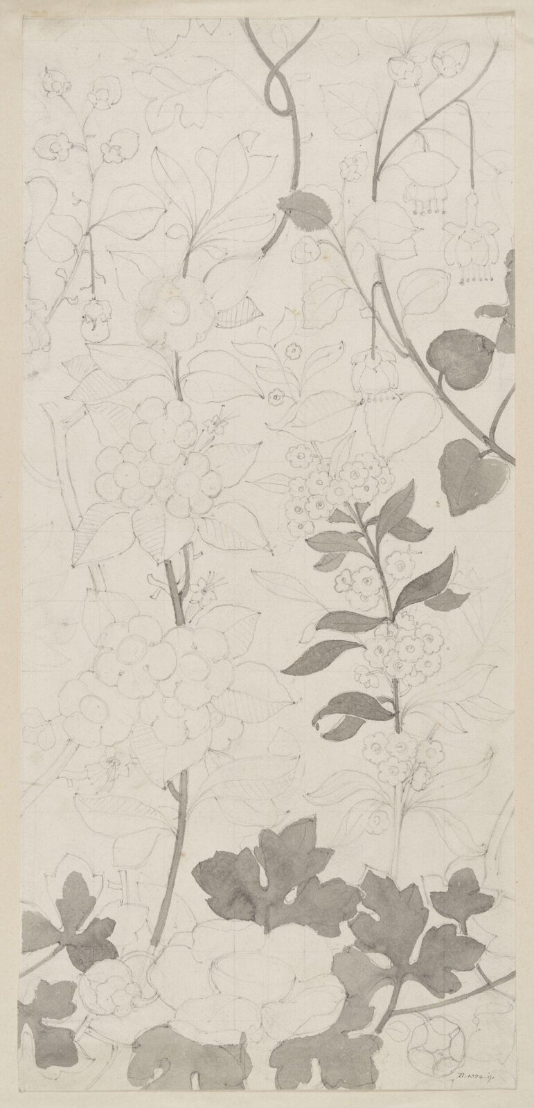 Drawing