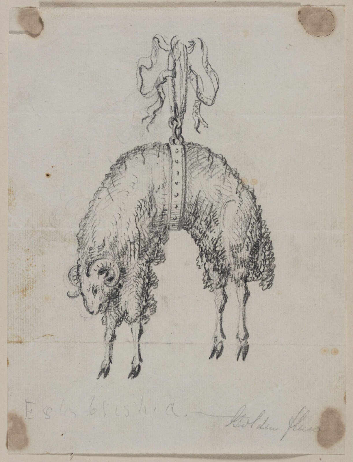 Drawing