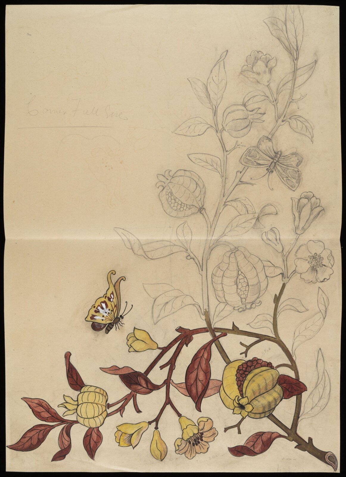 Drawing, Bruce James Talbert, 1850-1881