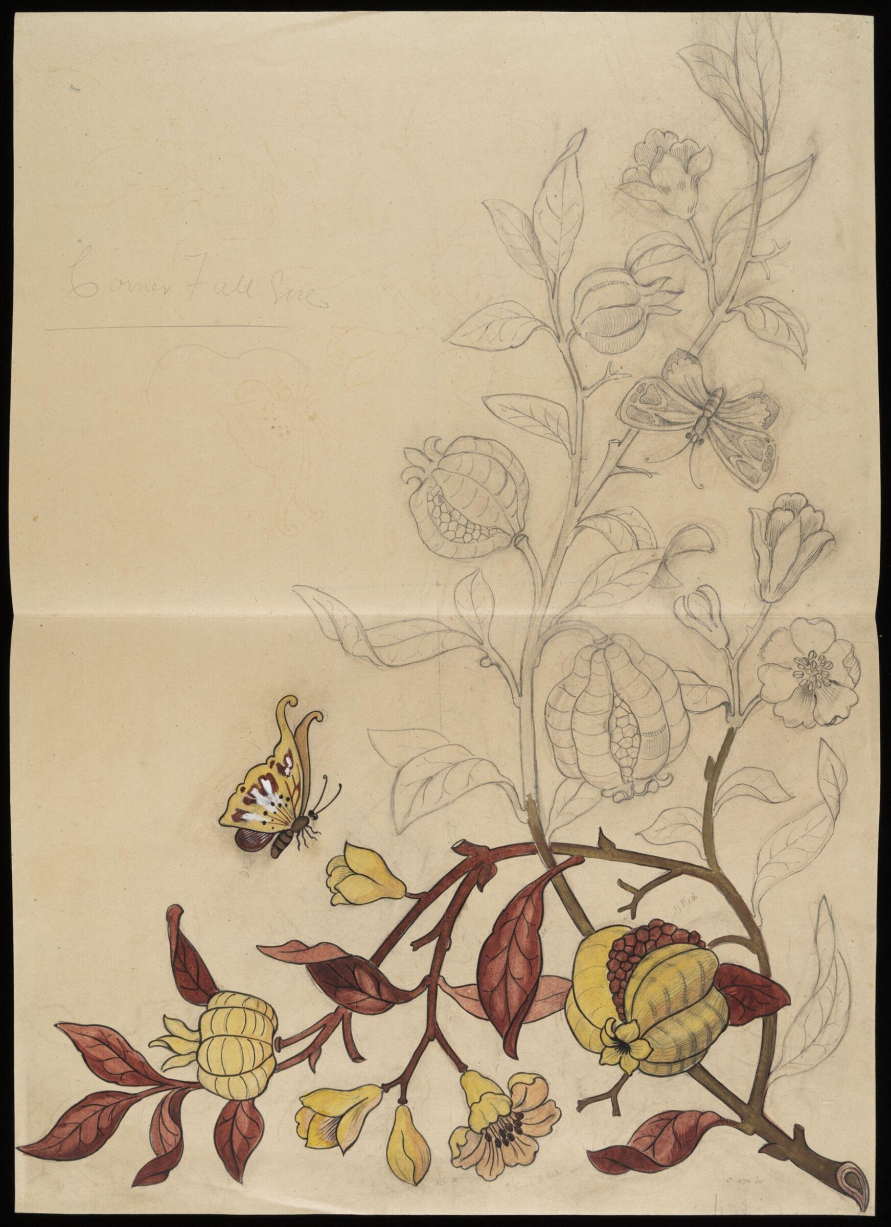 Drawing, Bruce James Talbert, 1850-1881