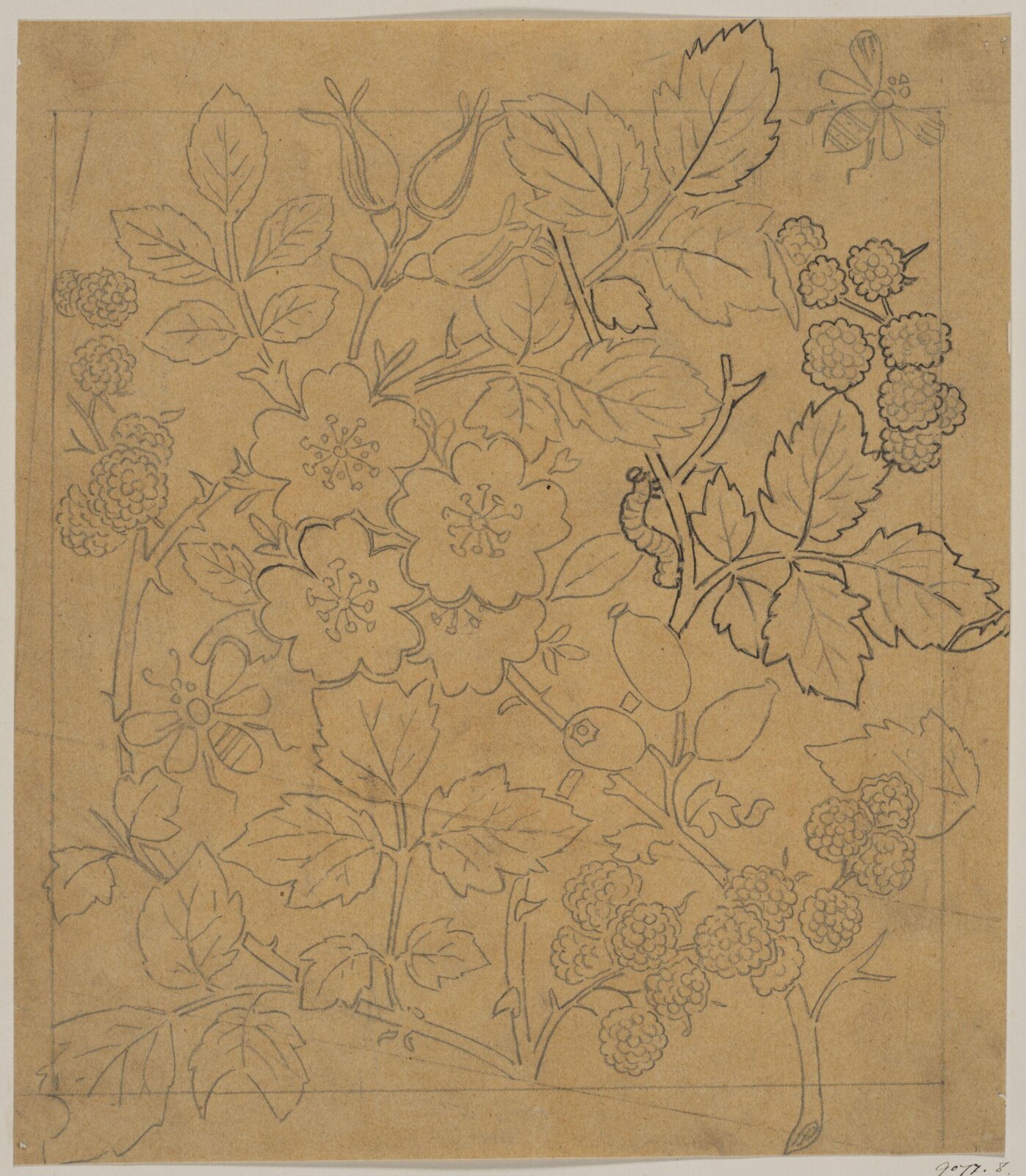 Drawing, Bruce James Talbert, circa 1870s