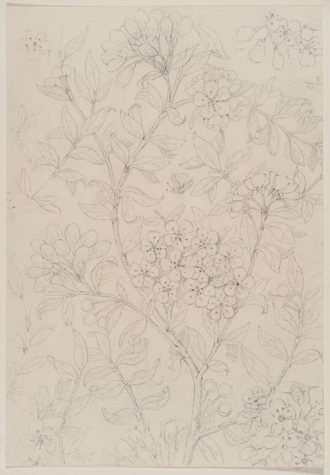 Drawing, Bruce James Talbert, circa 1870s