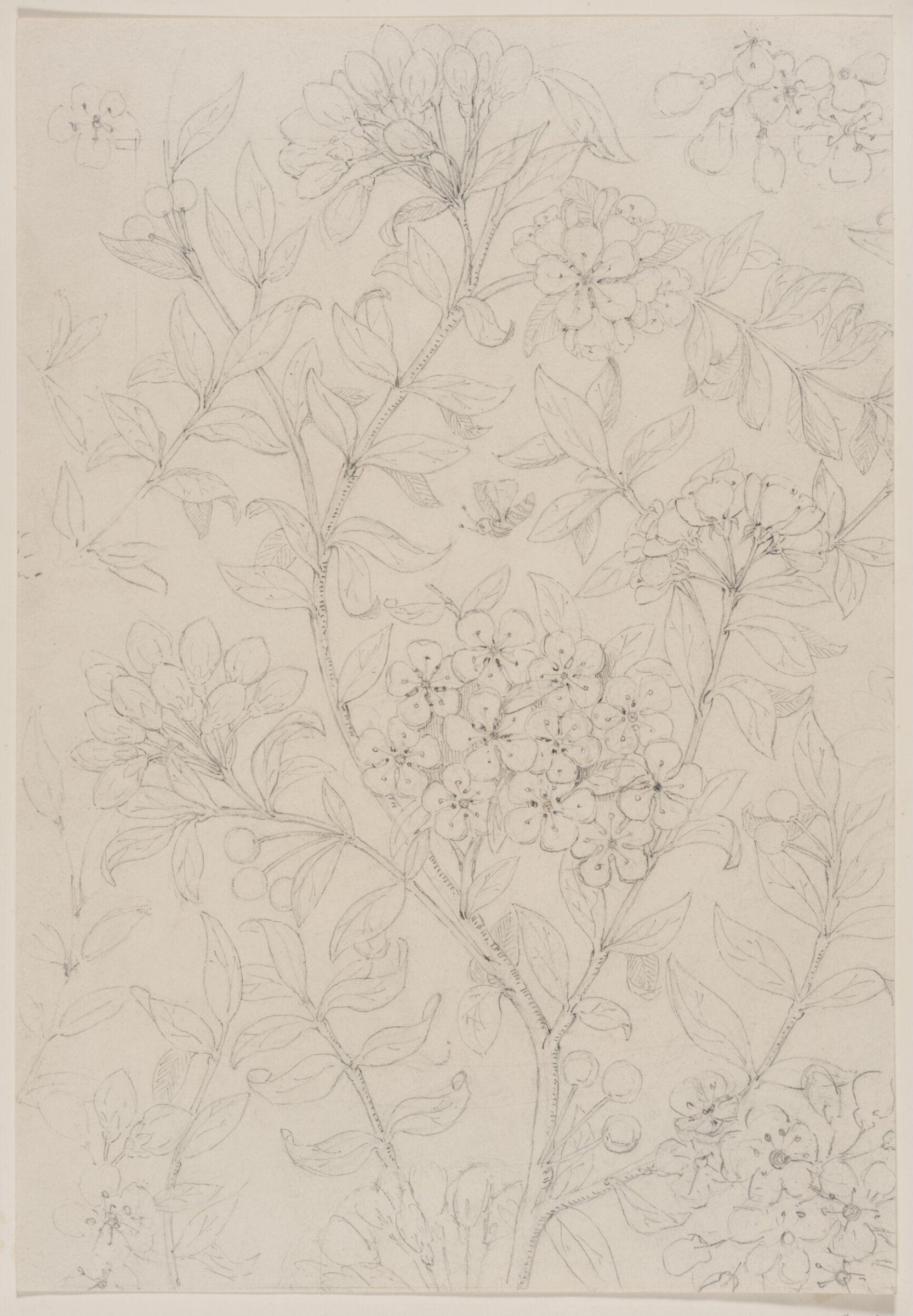 Drawing, Bruce James Talbert, circa 1870s
