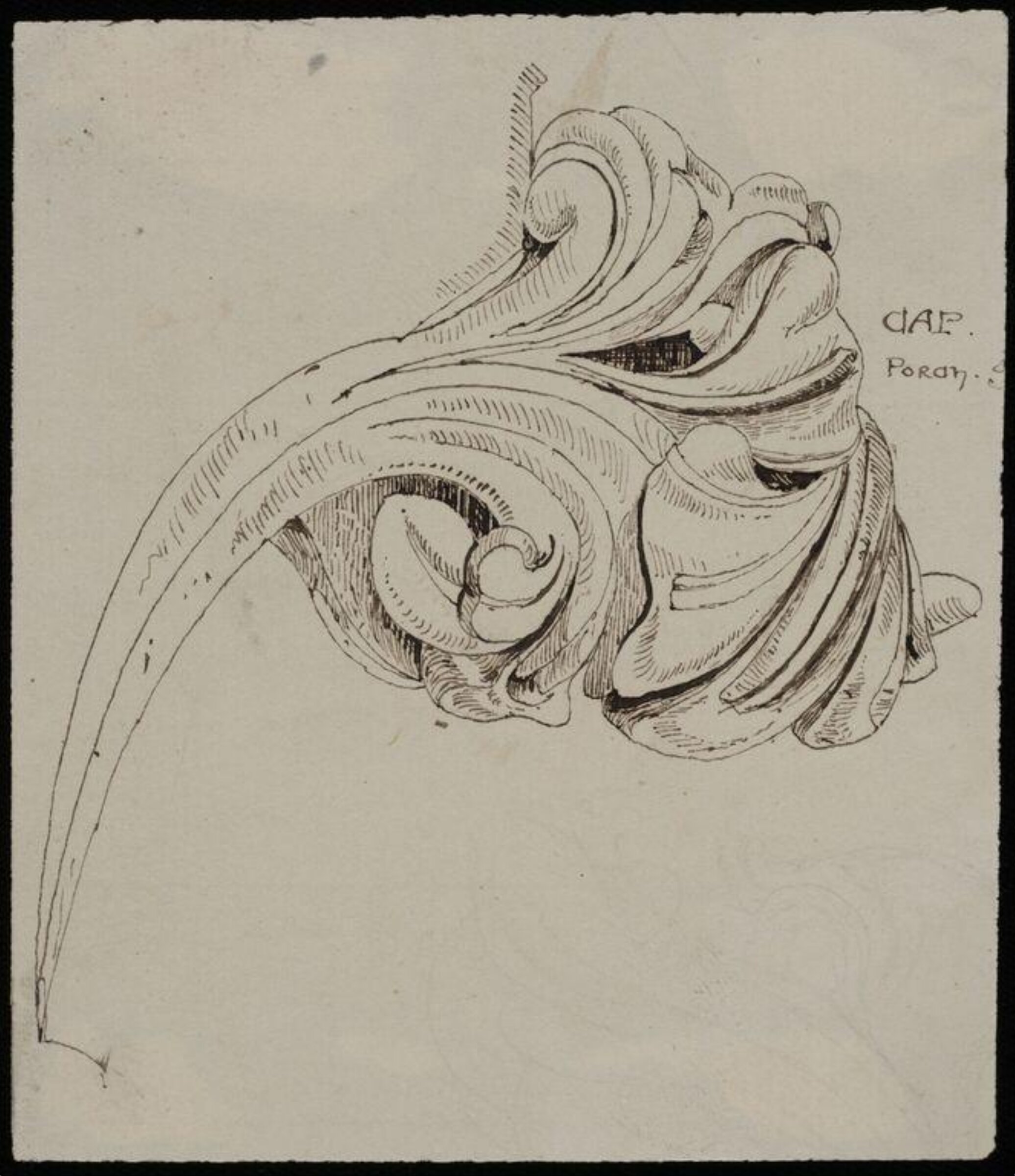Capitals, mouldings, &c., Charles Frederick Godbold Turner, c.1865