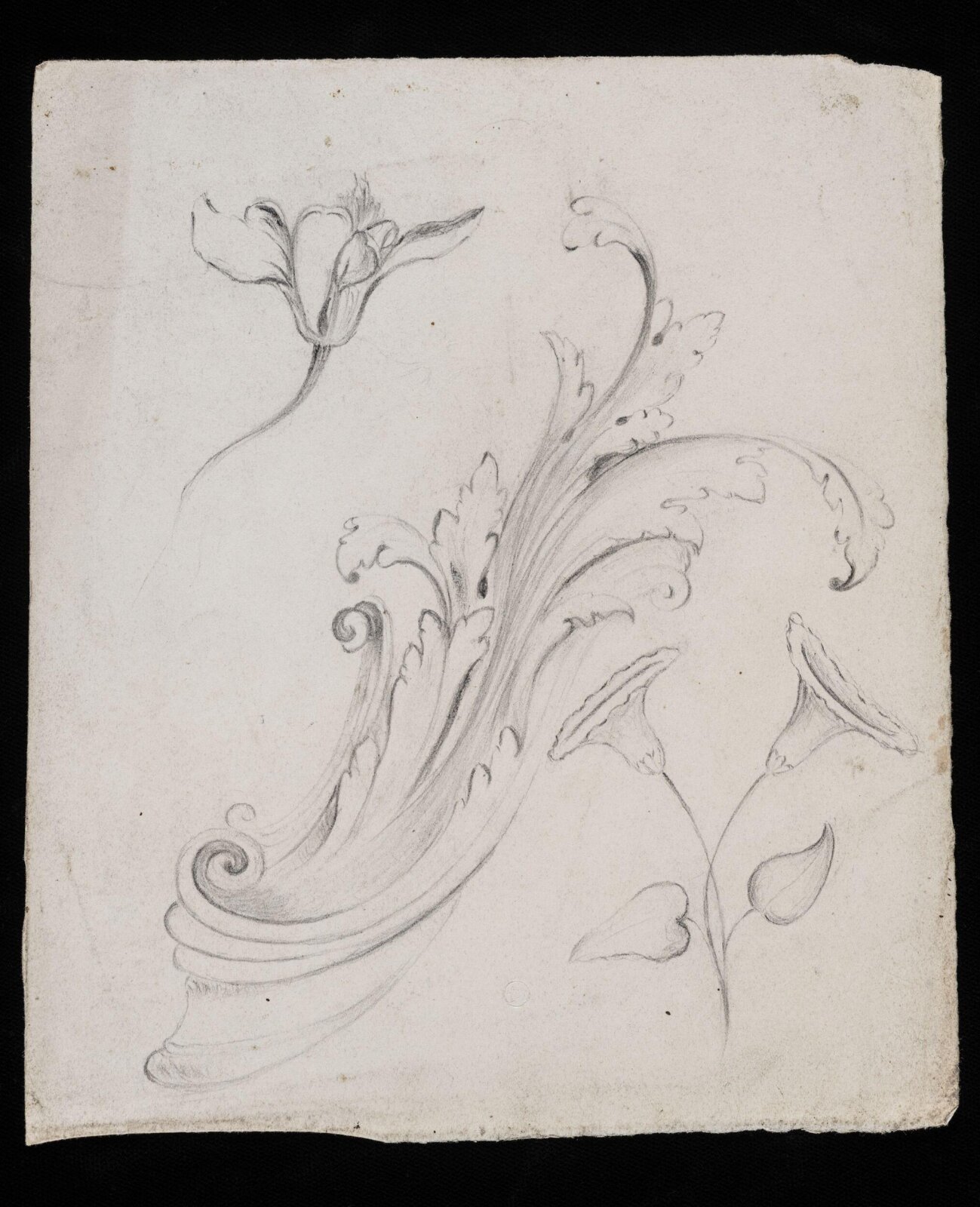 Drawing
