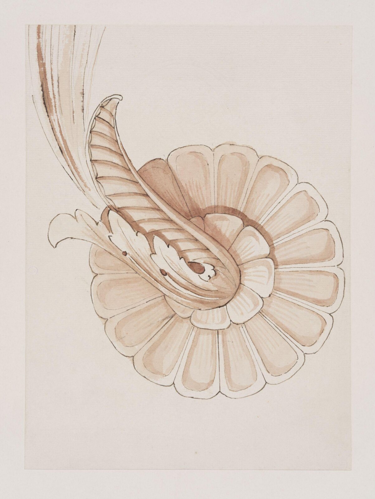 Drawing
