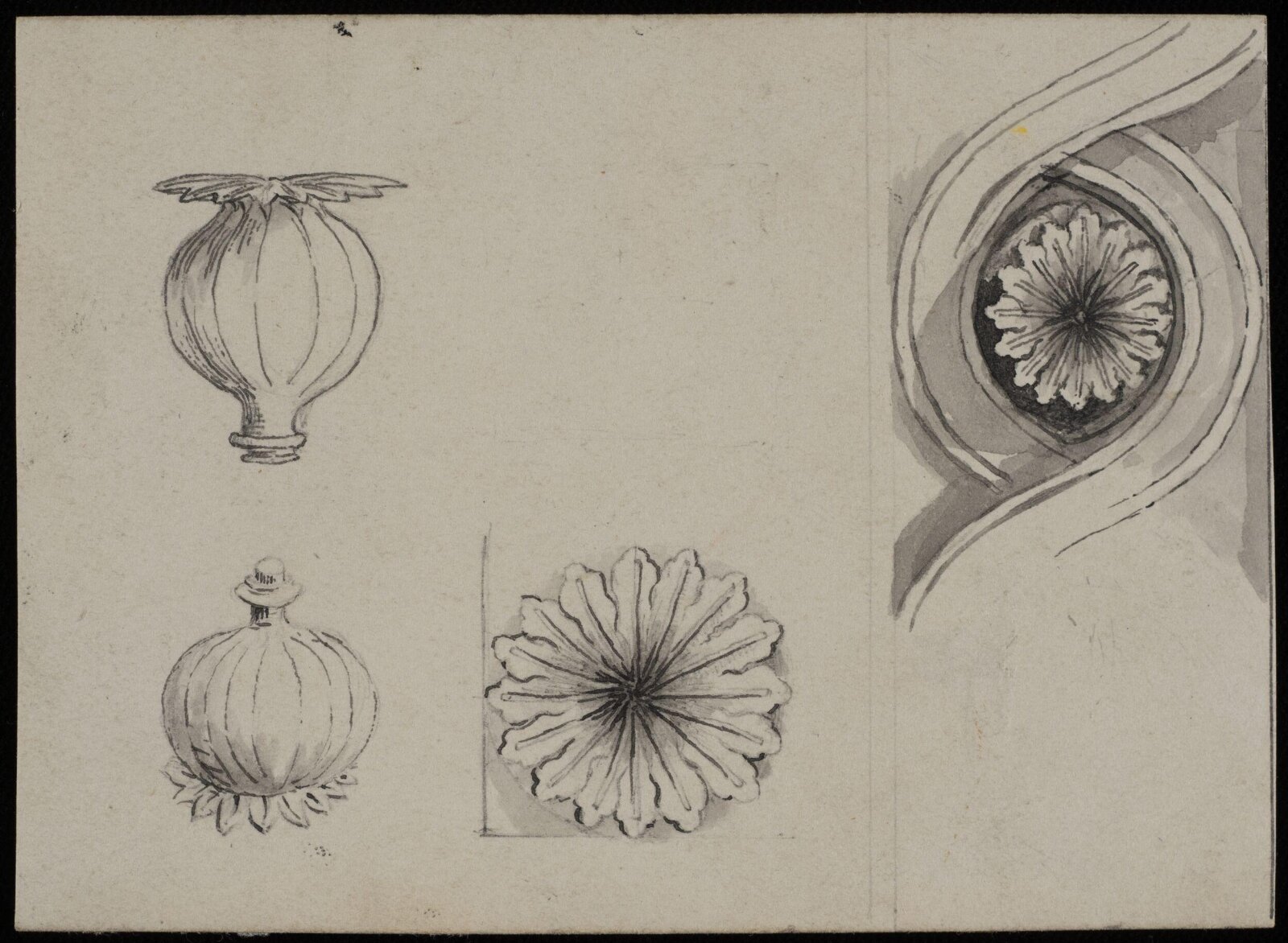 Drawing