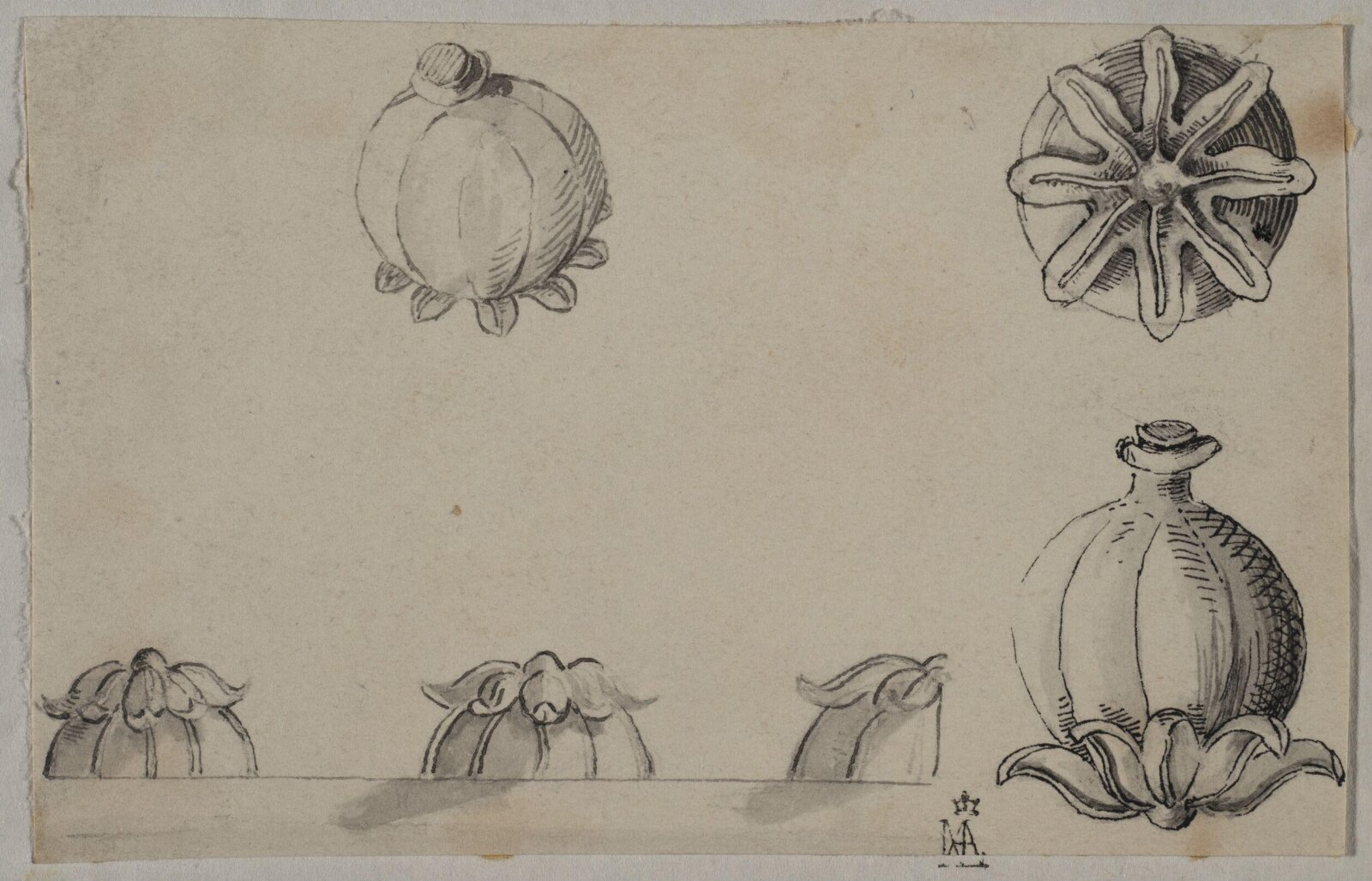Drawing