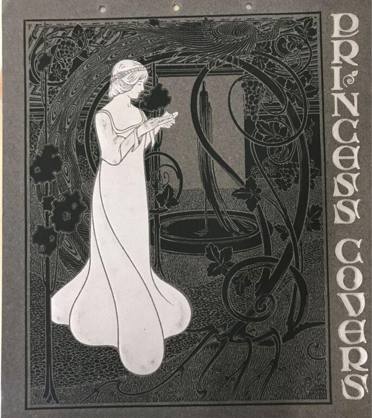 Unknown, Princess Covers