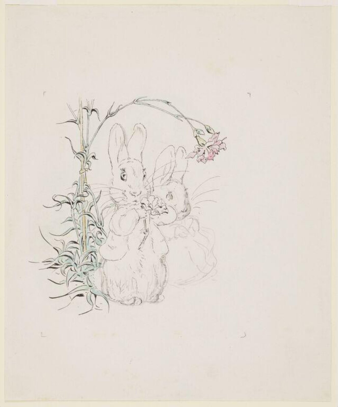Watercolour, Beatrix Potter, ca. 1903