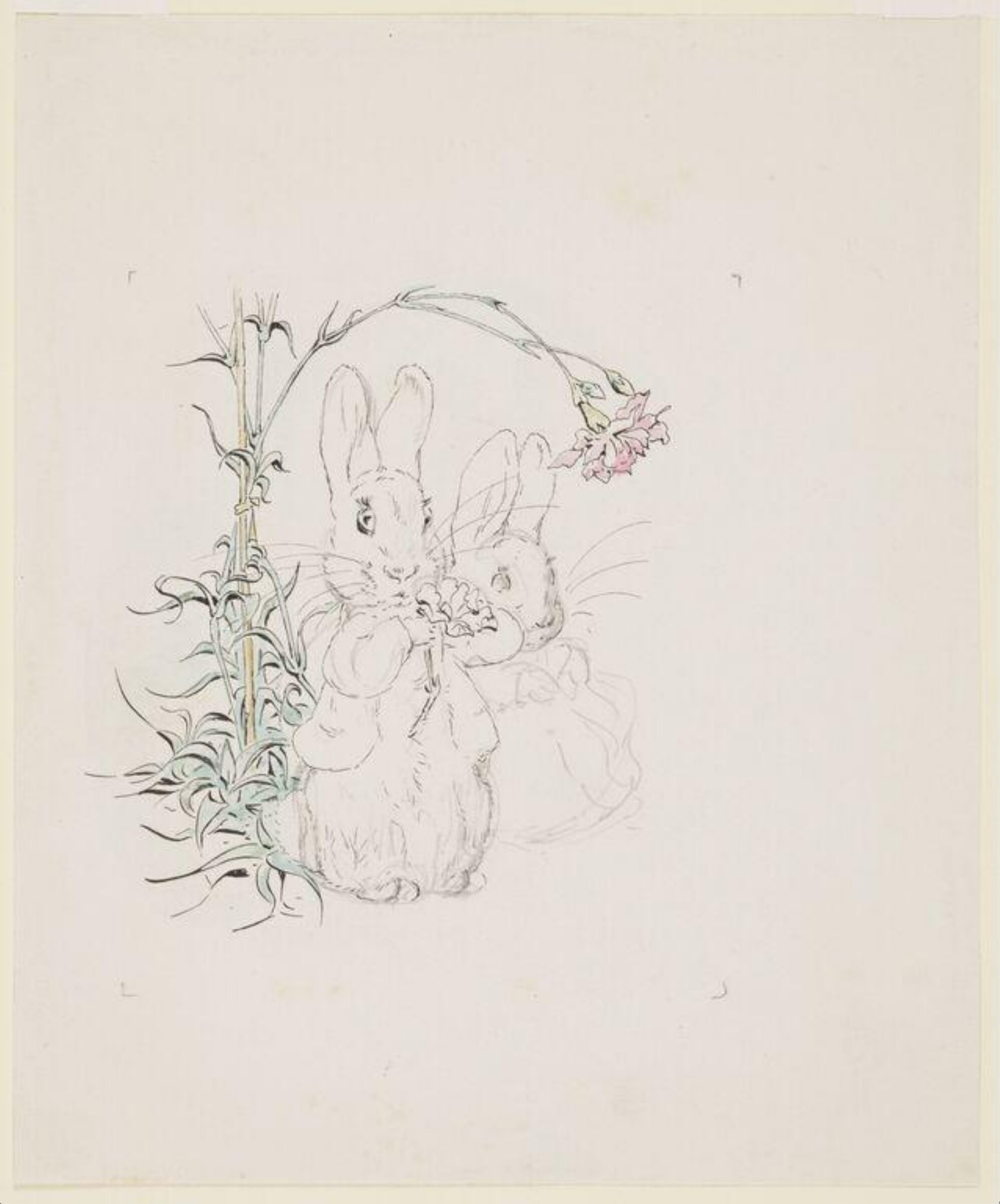 Watercolour, Beatrix Potter, ca. 1903